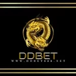 DDBet
